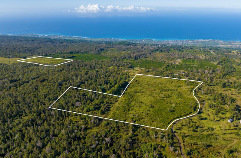 Kona Coffee Farm